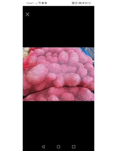 Livraison. de pomme de terre 25kgs rouge